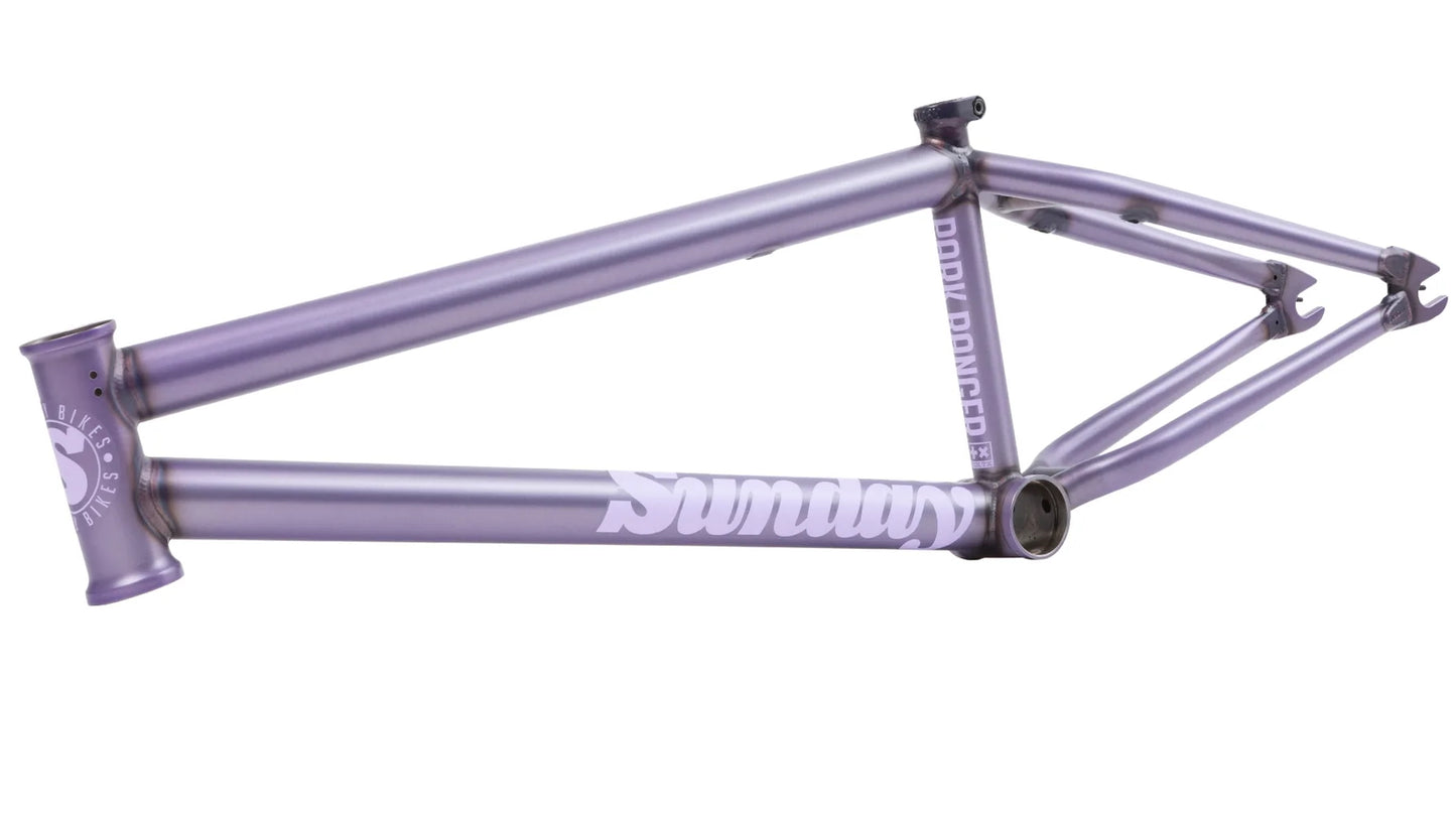 Cuadro Sunday Park Ranger (19,75, 20,5, 20,75 y 21")