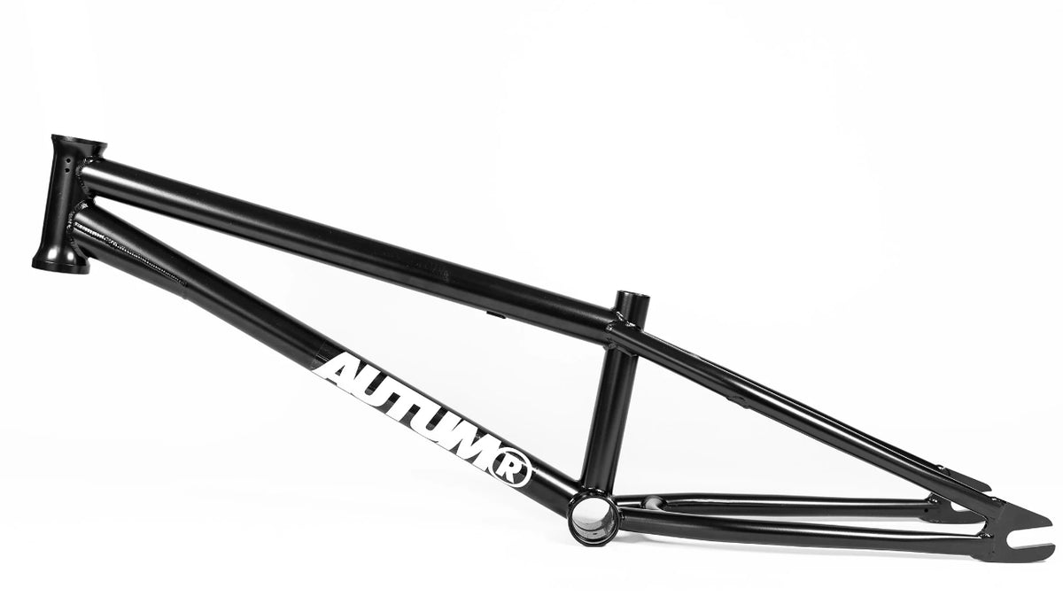 Autum Razzia Autum Razzia V3 Frame (19.3