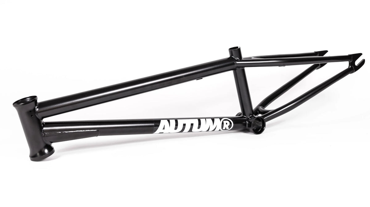 Autum Razzia Autum Razzia V3 Frame (19.3