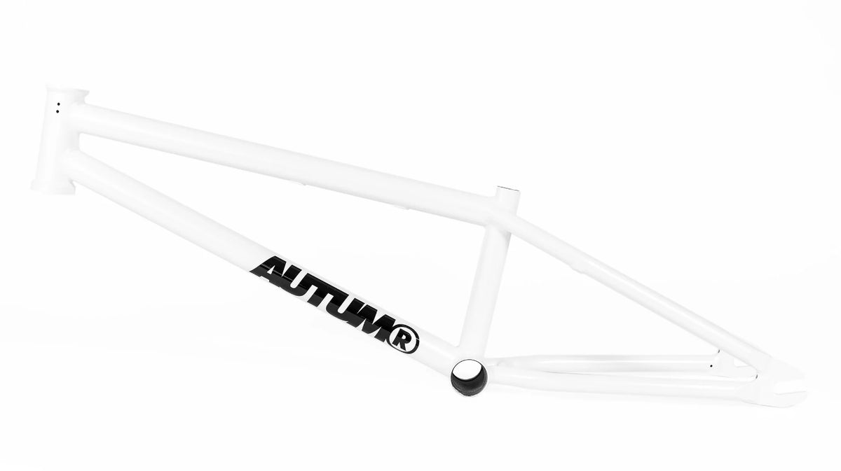 Autum Razzia Autum Razzia V3 Frame (19.3