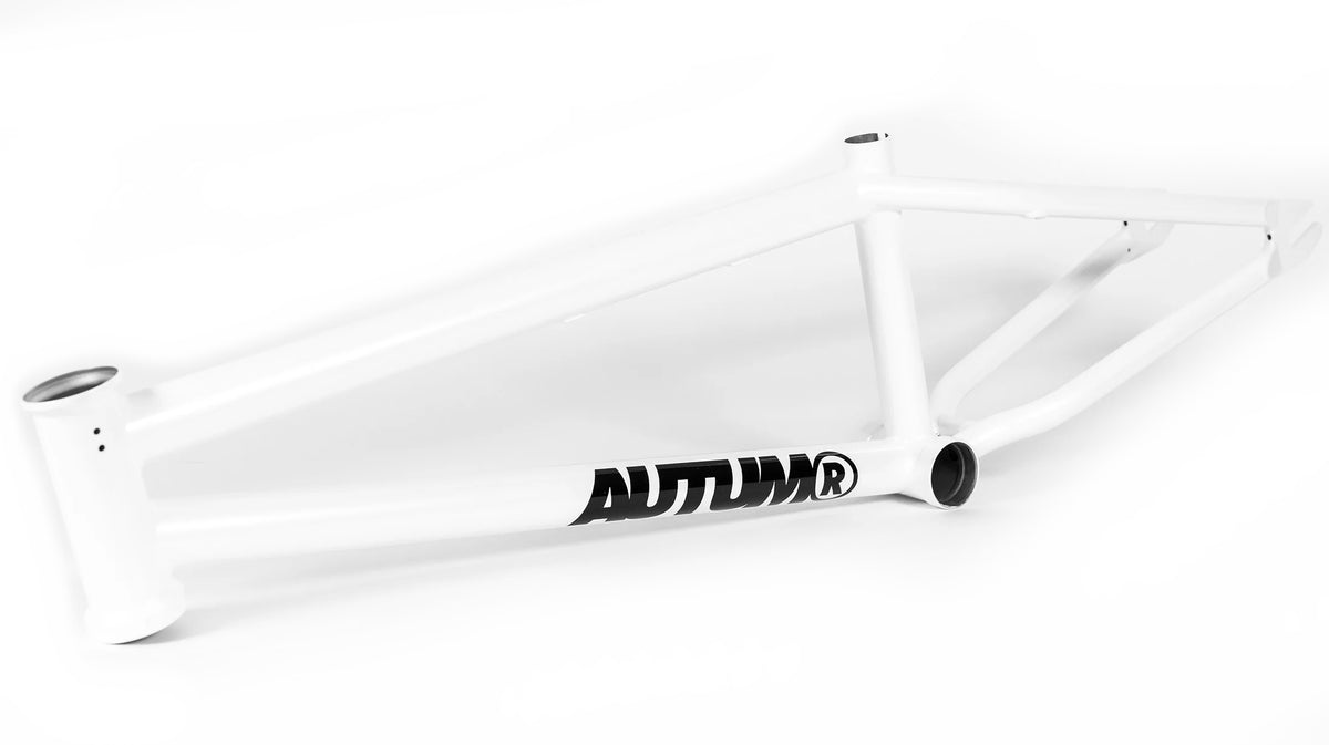 Autum Razzia Autum Razzia V3 Frame (19.3