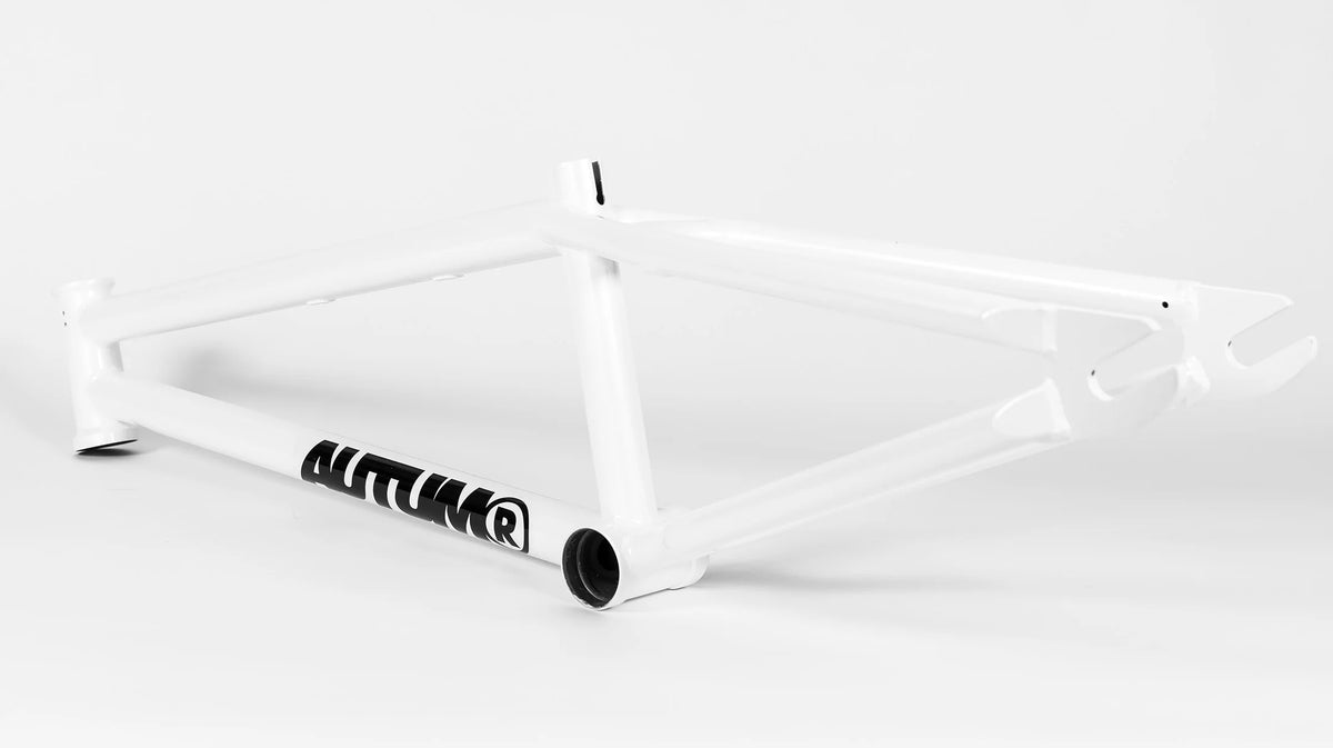 Autum Razzia Autum Razzia V3 Frame (19.3